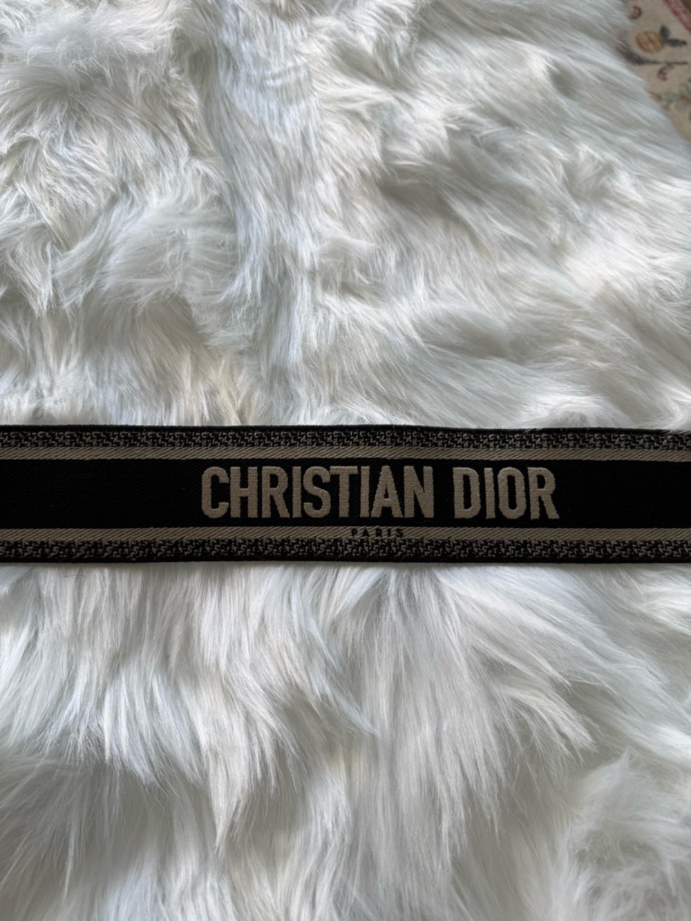 AUTHENTIC Christian Dior: Oblique Shoulder Strap - Picture 2 of 5